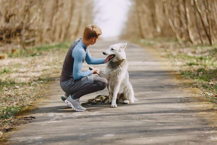 Uomo al parco abbassato accarezza cane