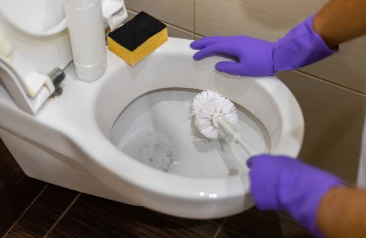 donna che pulisce il wc con lo scopino