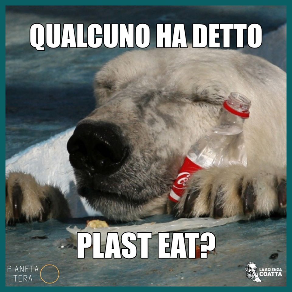 Plast eat